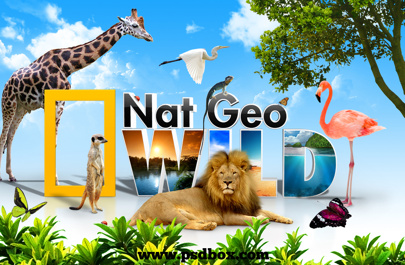 GEO Nature